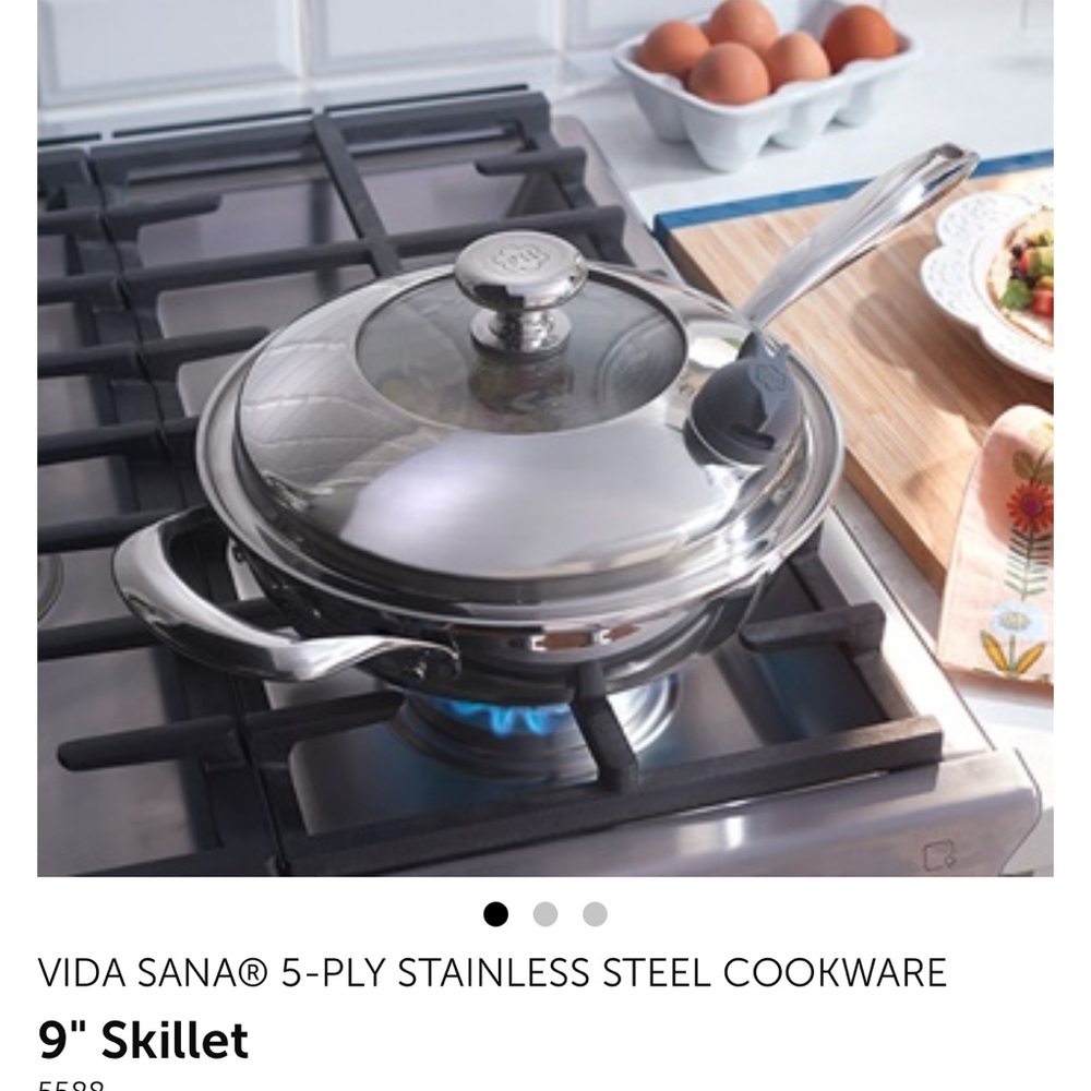 Stainless Steel 9" Skillet with Lid